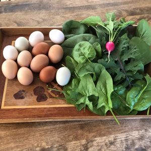 eggs and radishes