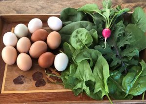 Francis Dr farm eggs and radish